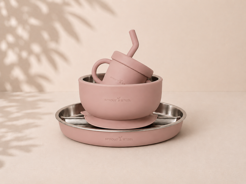 Stainless steel baby feeding set with silicone suction base 