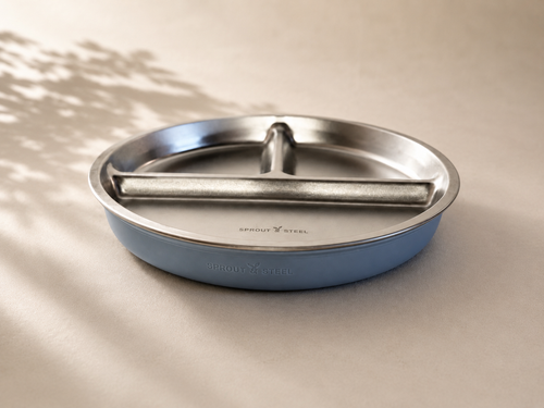 Stainless steel divided plate with silicone suction base 