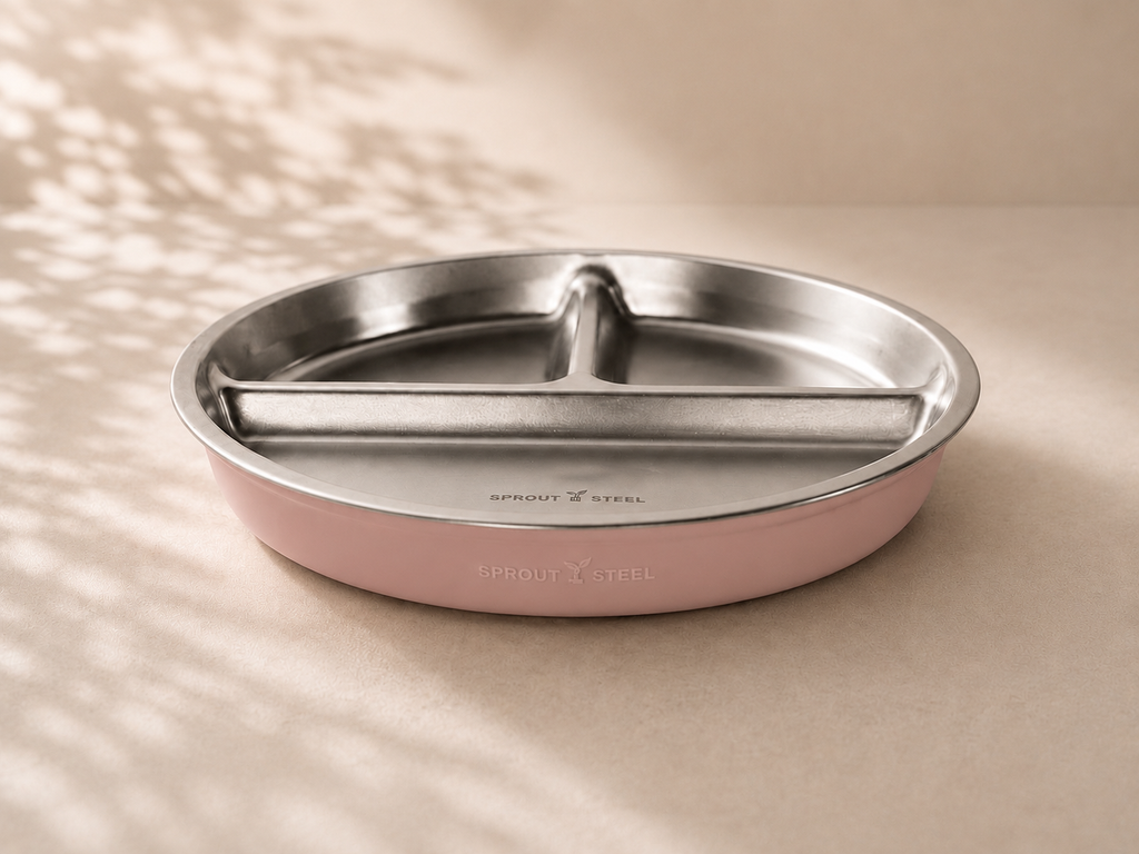 Stainless steel divided plate with silicone suction base 
