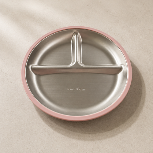 A round divided stainless steel plate with a pink rim